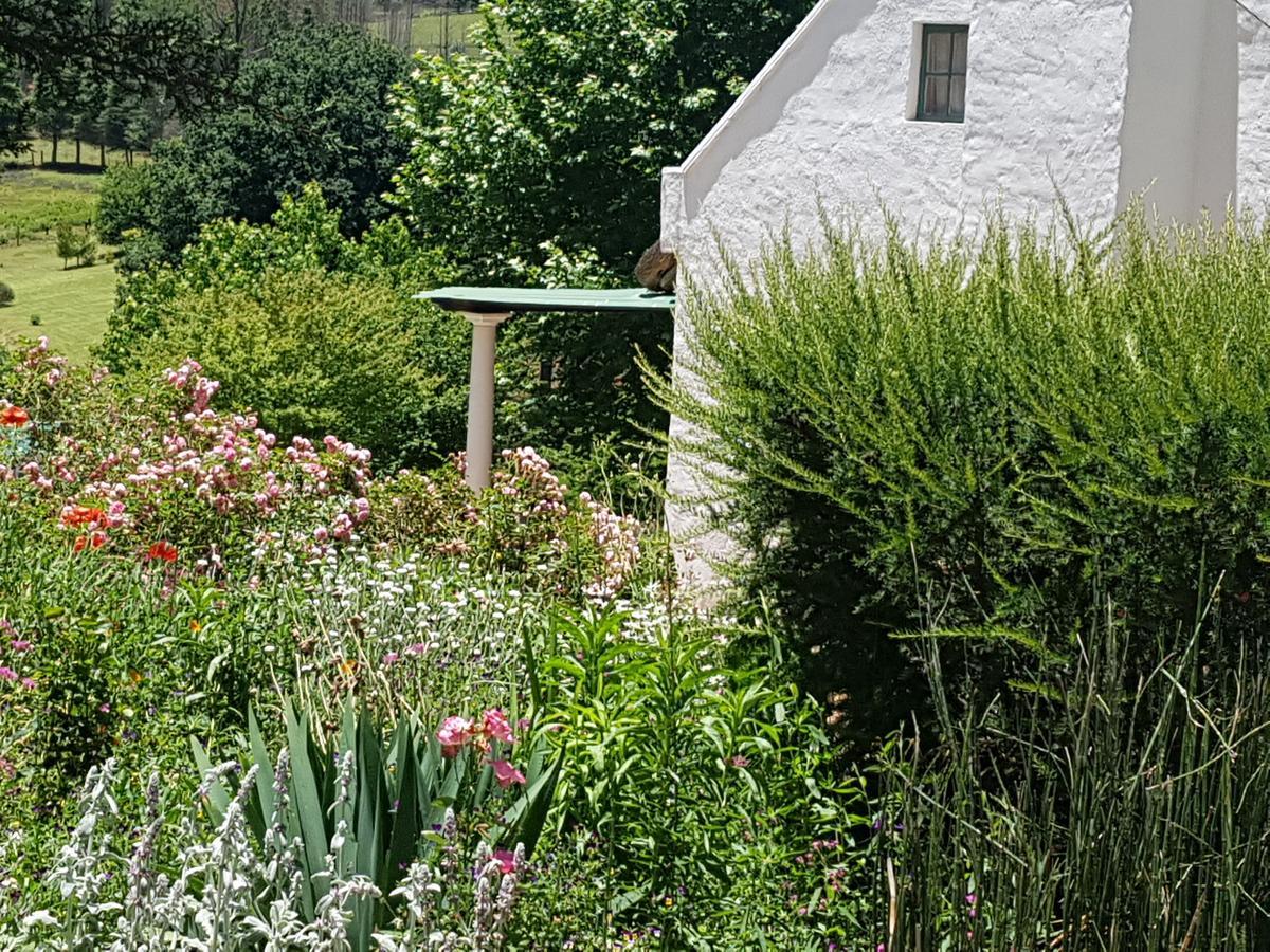 Rosebury Cottage Underberg Eksteriør bilde